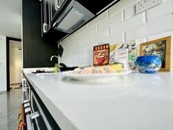 Mayfair Gardens (D21), Condominium #399483501